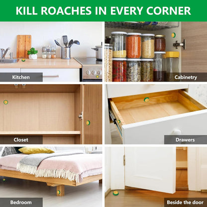 Cockroach Killer Powder Gel (Pack of 24pc)