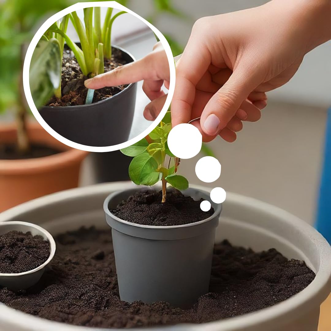 Plant Grow Fertilizer Sticks - 50 Stick Pack of 2 & 4