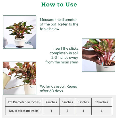 Plant Grow Fertilizer Sticks - 50 Stick Pack of 2 & 4
