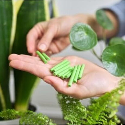 Plant Grow Fertilizer Sticks - 50 Stick Pack of 2 & 4